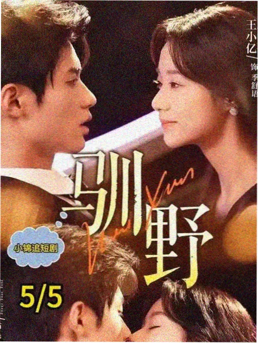 悬疑单元剧档案货架立牌封面